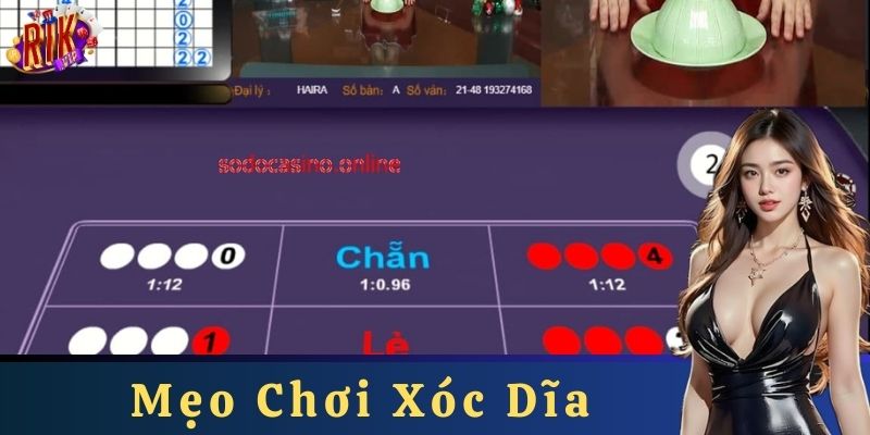 Những sai lầm cần tránh khi chơi xóc dĩa