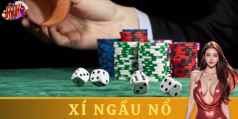 Giới thiệu về xí ngầu nổ