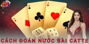 Cách đoán nước bài catte Rikvip